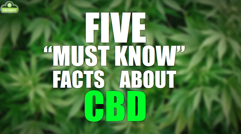 5 Must Know Facts About CBD (Video)