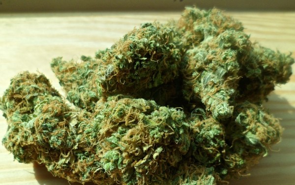 More and more countries awakening to the benefits of legalizing marijuana