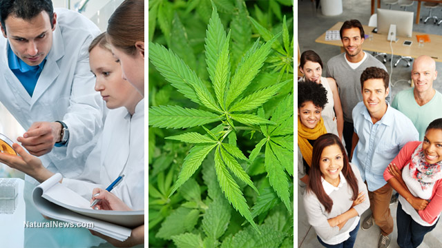 Scientists-Cannabis-Marijuana-Group-People