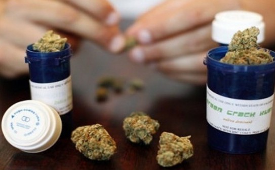 BigPharma Cannabis